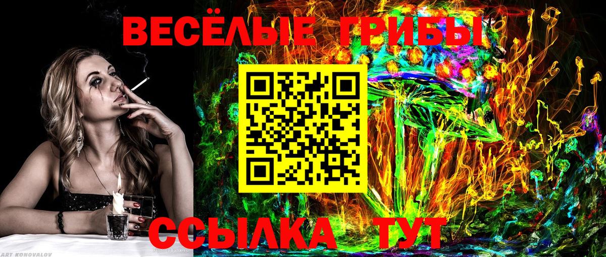 Галлюциногенные грибы Magic Shrooms  Вход с VPN  Новокуйбышевск  Псилоцибиновые грибы GOLDEN TEACHER 