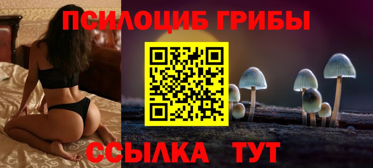 Псилоцибиновые грибы Psilocybine cubensis Новокуйбышевск